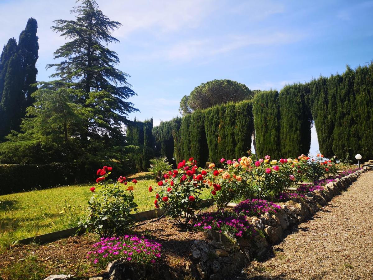 Villa Bellaria Campagnatico Экстерьер фото