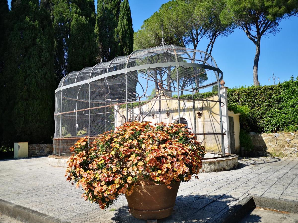 Villa Bellaria Campagnatico Экстерьер фото