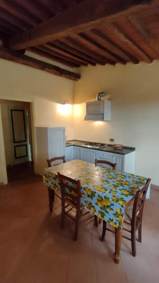 Villa Bellaria Campagnatico Экстерьер фото