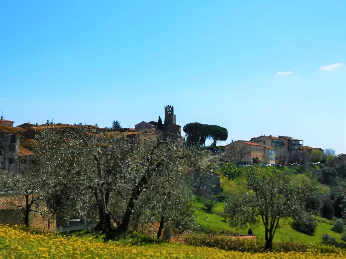 Villa Bellaria Campagnatico Экстерьер фото